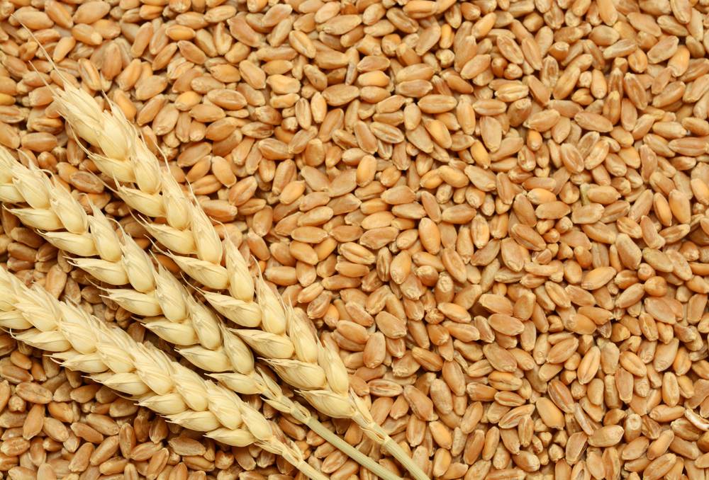 Image wheat